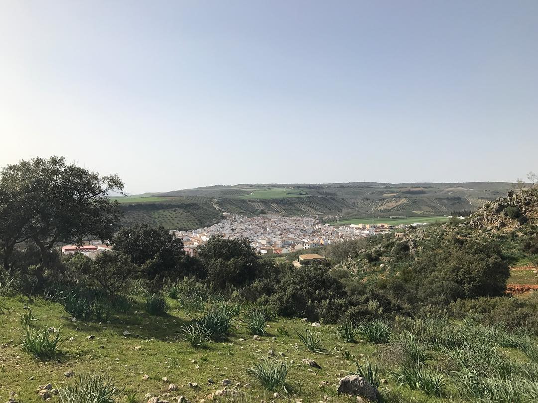 Vista panorámica del municipio de Alcalá del Valle