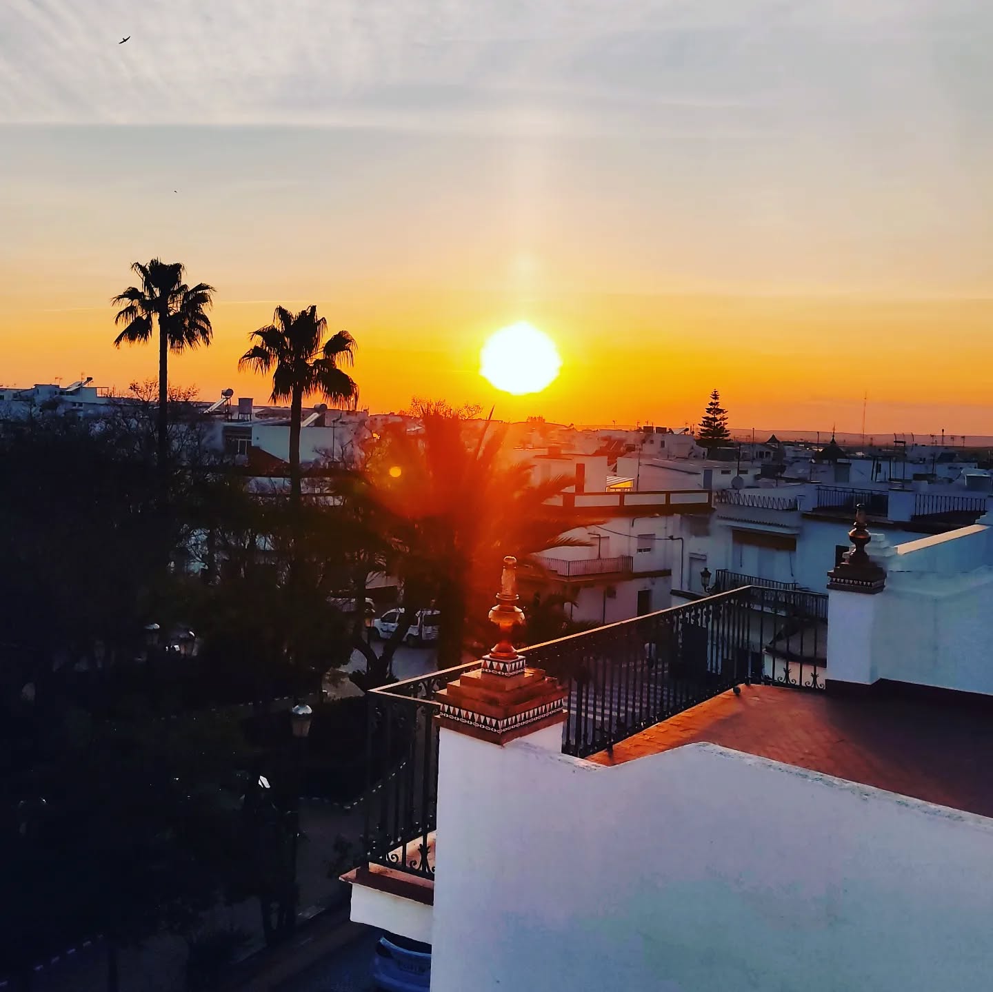 Atardecer capturado desde una azotea en Paradas, mostrando palmeras altas y los tejados del pueblo.