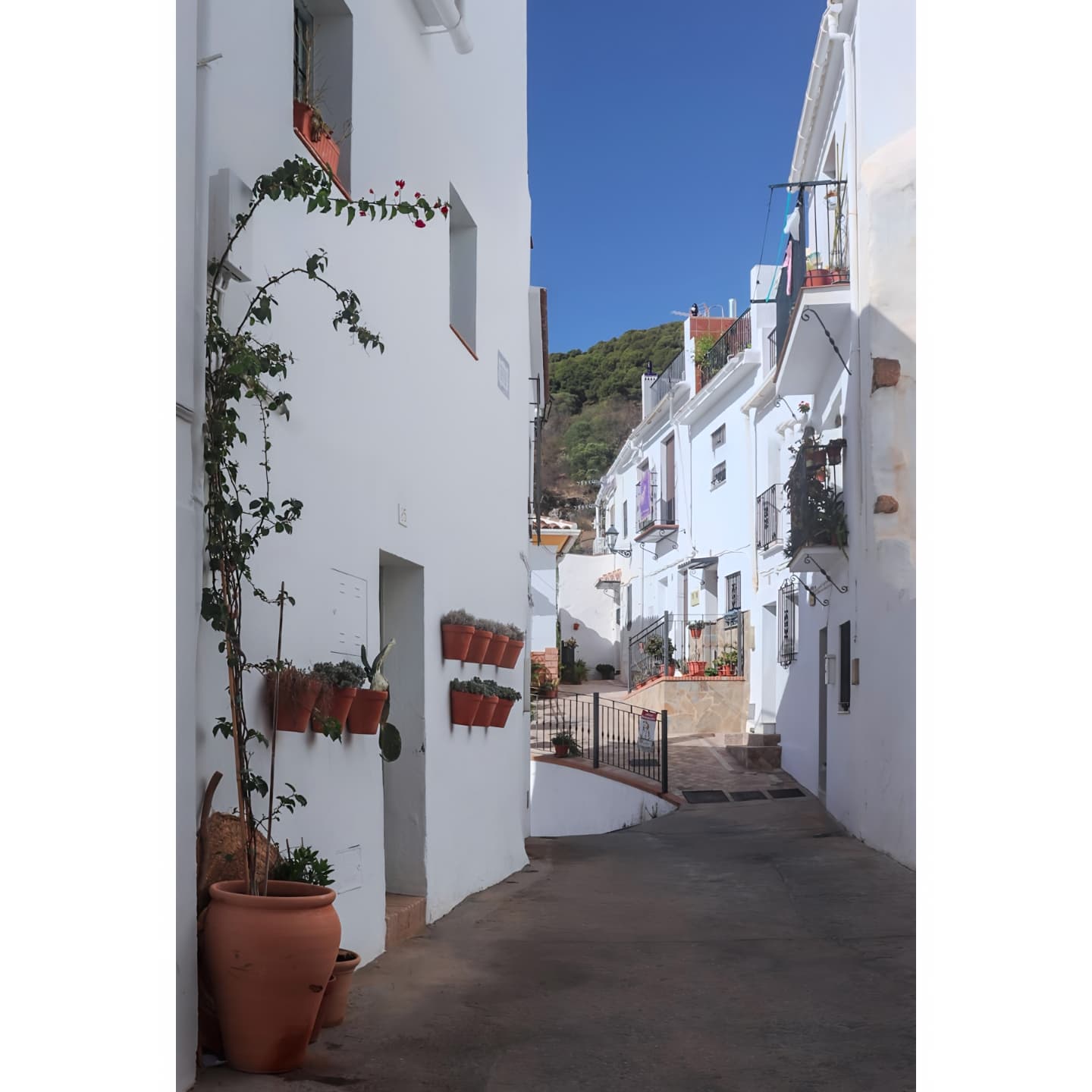 Calle de Casarabonela con casas encaladas y decoradas con macetas y flores.